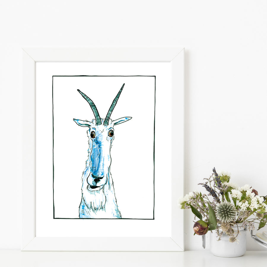 Sherman Mountain Goat Matted Art Print