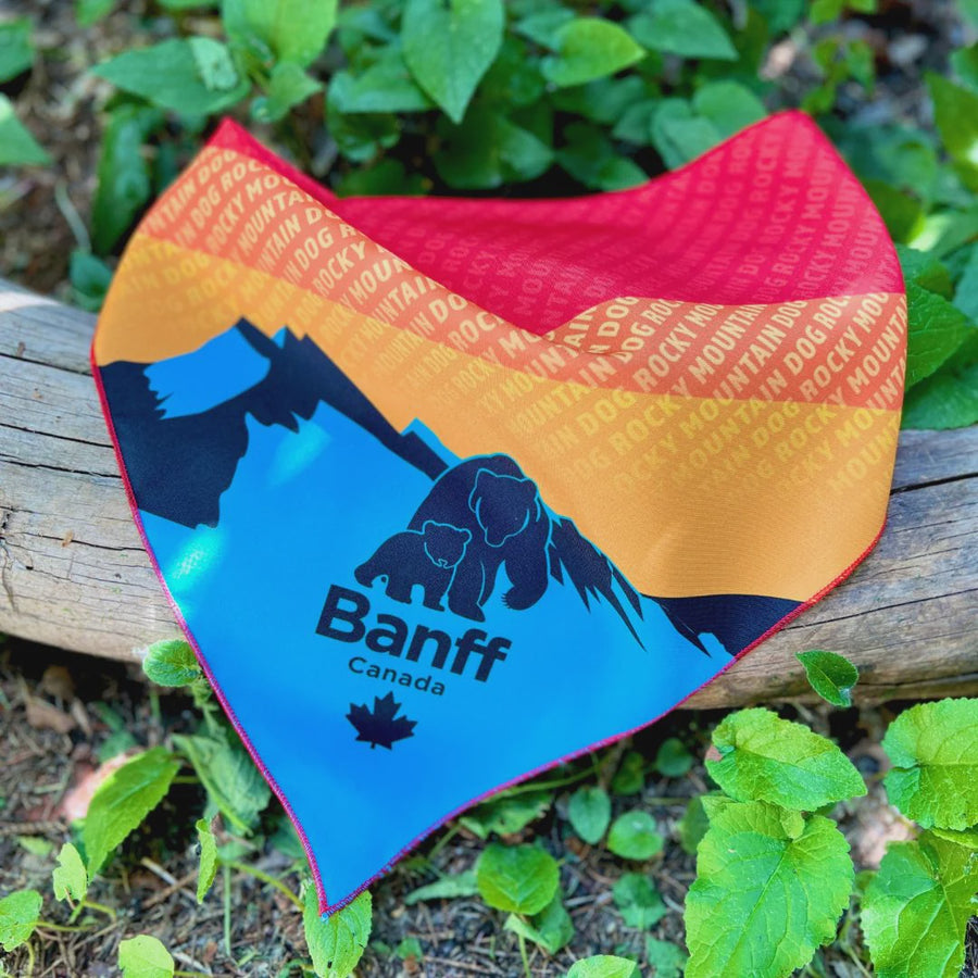 Banff Dog Bandana