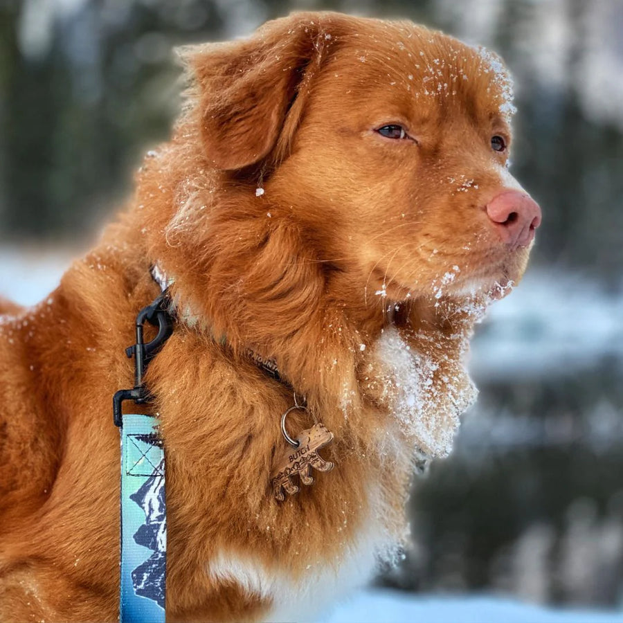 Canmore Mountain Dog Leash