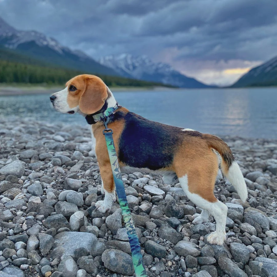 Canmore Mountain Dog Leash