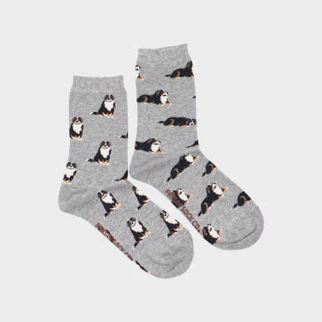 Bernese Mountain Dog Women's Socks